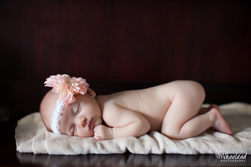 Newborn Baby Girl Photos