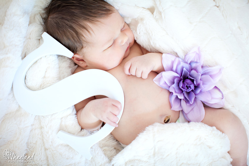 Newborn Girl Photos