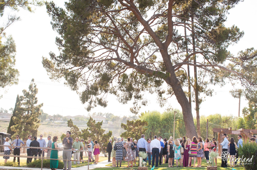 outdoor wedding california